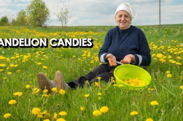 Dandelion Candies - My Grandmother Reveals Her Simple Recipe
