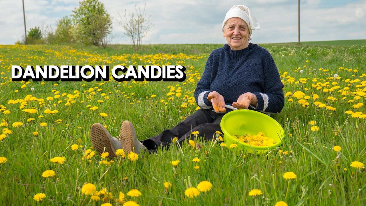 Dandelion Candies – My Grandmother Reveals Her Simple Recipe Dandelion Candies - My Grandmother Reveals Her Simple Recipe