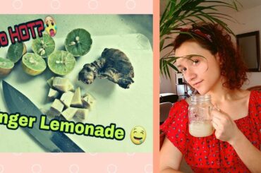 Honey Ginger Lemonade Recipe | Refreshing, Healthy and Easy