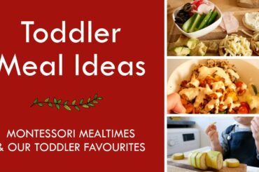 WHAT MY TODDLER EATS IN A DAY | Healthy meal ideas for a one year old