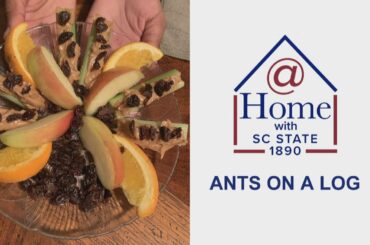 Healthy Snack Ideas: How to Make Ants on a Log Snack l @Home with 1890