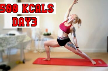 Bodybuilder Diaries Keeping Busy And Being Productive - Day 3 Low Calorie