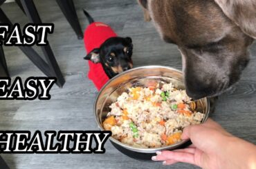 HEALTHY HOMEMADE DOG FOOD RECIPE | WHAT I FEED MY DOGS | FAST & EASY