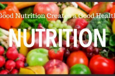 Healthy Food ideas which boosts your immunity or Diet plan for good & healthy body in day today life