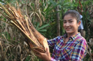 Awesome And Yummy Wild Vegetable That I Have Never Cooked / Healthy Food / Cooking By Sreypov.