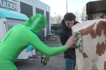 The making of Healthy Cows