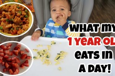 WHAT MY BABY EATS IN A DAY! | BABY MEAL IDEAS FOR 1 YEAR OLD