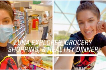 Luna Explores The House, Huge Grocery Haul, & Healthy Dinner Recipe