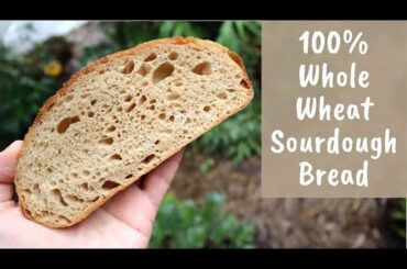Whole Wheat Sourdough Bread (extended cold autolyse method)