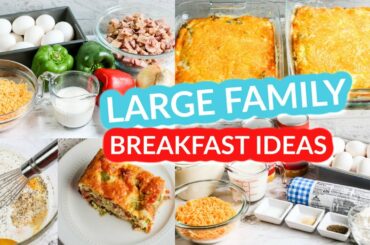 LARGE FAMILY BREAKFAST IDEAS | Denver Omelette Casserole and Biscuits and Gravy Casserole!