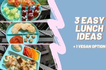 Healthy Lunch Ideas For Kids | Great For Picky Eaters!!