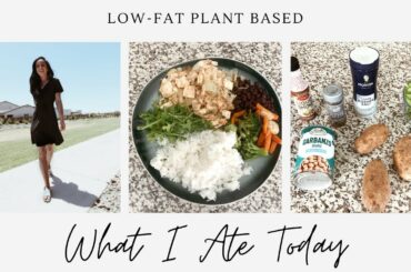 EASY LOW-FAT VEGAN MEALS for Weight Loss! | Melissa Alexandria