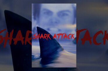 Shark Attack