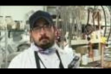 Make a vitamin & nutrient packed snack