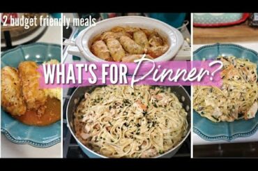 WHAT'S FOR DINNER?| EASY BUDGET FRIENDLY MEAL IDEAS | EASY BUDGET FRIENDLY FAMILY MEALS|