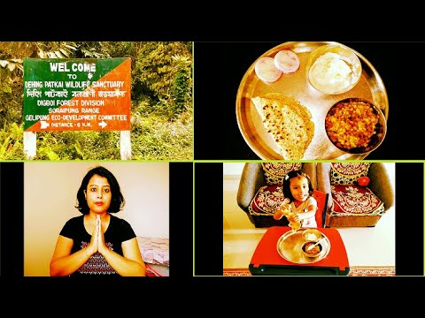 Amazon Of East- Dehing Patkai Rainforest,Plz SaveIt|My Weightloss Recipes|Assamese Vlogger Bangalore Amazon Of East- Dehing Patkai Rainforest,Plz SaveIt|My Weightloss Recipes|Assamese Vlogger Bangalore