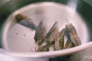 Healthy low calorie prawns beehoon soup