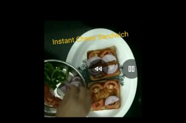 Instant Chees Sandwich | Healthy Chees sandwich |  Easy Morning breakfast |