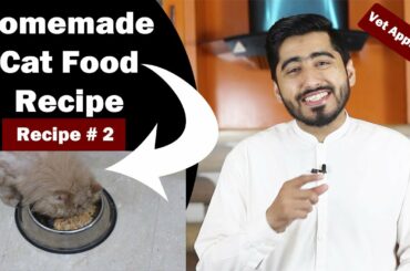 Healthy- Homemade Cat Food | Cheap Recipe | Balanced Diet | Persian Diet | Vet Furqan Younas
