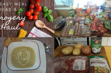 2 EASY MEAL IDEAS AND GROCERY HAUL!!! | QUARANTINE GROCERY HAUL AND DINNER IDEAS