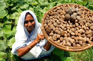 RARE food of Bengal | Bohera Badam Diye Kumro Pata Bata Recipe Prepared by Grandmother
