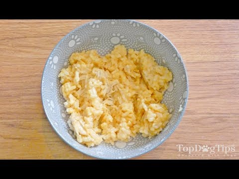 Homemade Dog Food for Upset Stomach Recipe (Easy to Digest, Bland, Low Calorie) Homemade Dog Food for Upset Stomach Recipe (Easy to Digest, Bland, Low Calorie)