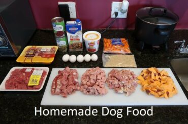 Healthy & Easy Home Made Dog Food Recipe - From A Past Vet Tech!  Recipe #5
