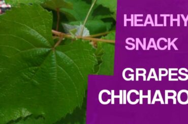 HOW TO COOK GRAPES CHICHARON I HEALTHY SNACK I VEGAN SNACK I HOME COOKING I HOME GARDENING