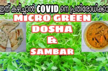 MicroGreen Dosha & Sambar#Healthy food#Dosha#Sambar#Corona recipes #