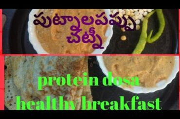 Protein dosa||Healthy breakfast recipe||putnalupapu chatney