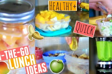 Healthy & Quick School Lunch Ideas! | Shayla