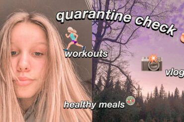 quarantine check! vlog, workout, healthy meals +moree!