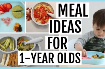 What My Toddler Eats in a Week | 1-YEAR-OLD MEAL IDEAS