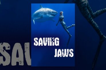 Saving Jaws