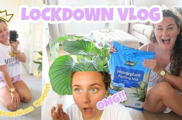 Spray painting, Home bits & I made the BEST healthy lunch.. yep healthy to!