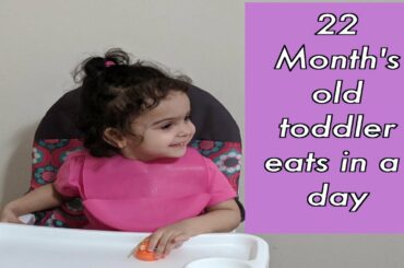What My 22 month old toddler eats in a day| Healthy toddler meal | Under 10 min. Meal Recipes