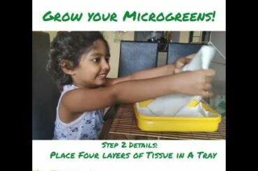 MICROGREENS - Easy to grow SUPERFOOD | Fun project for Kids | Homegrown healthy food
