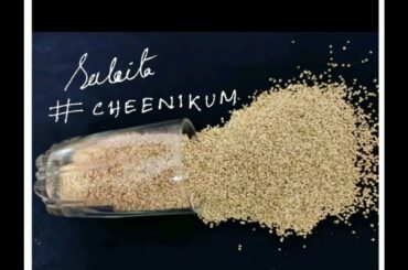 Quinoa tikka/quinoa patties/quinoa snacks/crispy quinoa/quinoa appe/healthy snacks/weightloss snacks