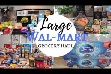 Huge walmart grocery haul | budget friendly Meal ideas | Budgetfam