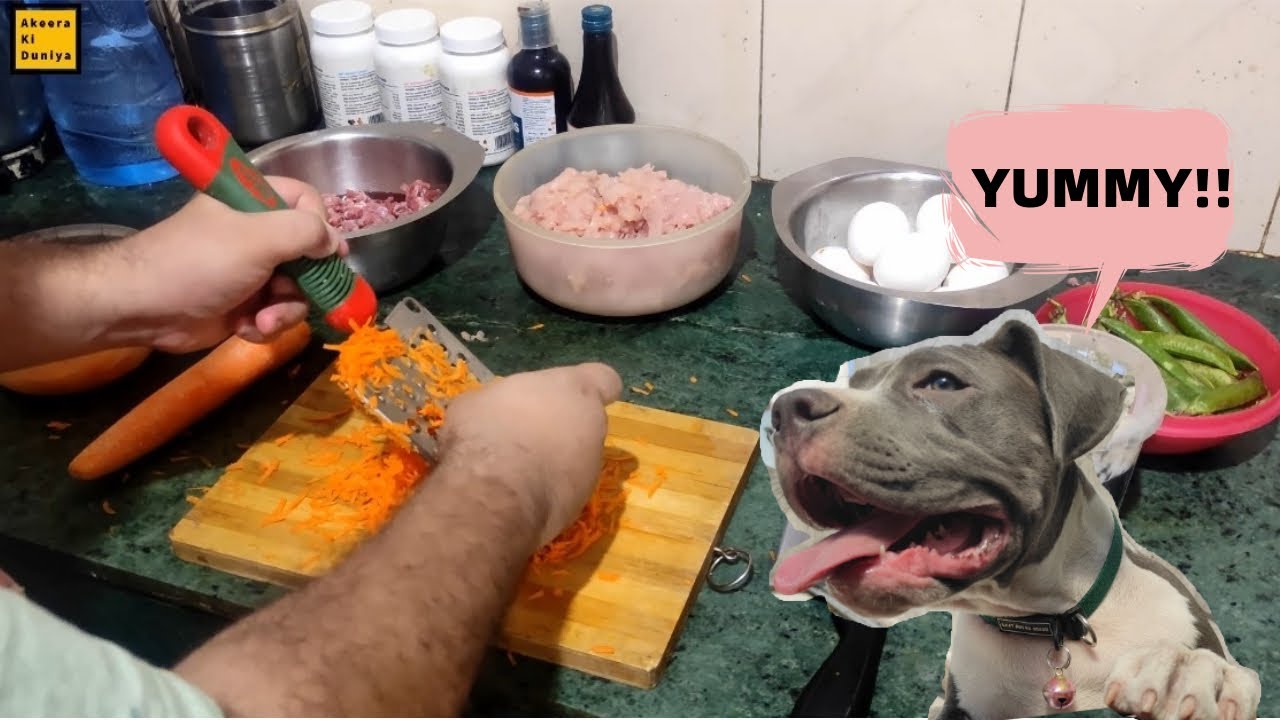 Healthy Homemade food for dogs (Non Veg)Tasty Recipe with Cost analysis Healthy Homemade food for dogs (Non Veg)Tasty Recipe with Cost analysis