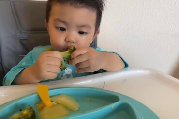 Healthy baby food ideas for self feeding