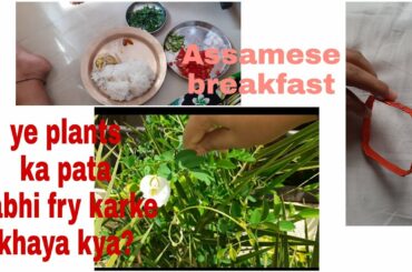 Today's Vlog||Assamese healthy breakfast recipe||Priya Mixture Uchil||Handmade Bangle from plastic