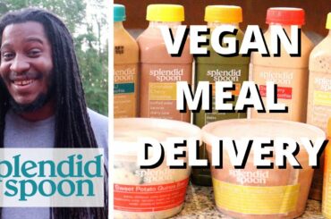 He tried HEALTHY VEGAN MEAL DELIVERY! | Updated Splendid Spoon Taste Test + Review