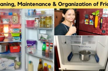 How I Clean, Maintain & Organized my Fridge | Fridge Organization Ideas in Hindi | Urban Rasoi