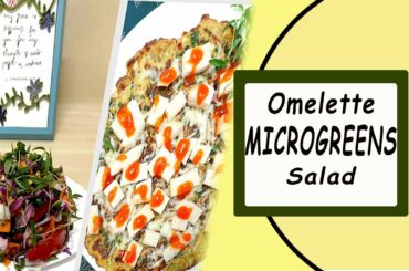 MICRO GREENS OMELETTE AND SALAD / HEALTHY RECIPE - Grains & Diet