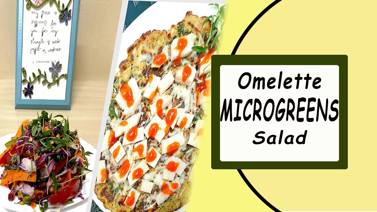 MICRO GREENS OMELETTE AND SALAD / HEALTHY RECIPE – Grains & Diet MICRO GREENS OMELETTE AND SALAD / HEALTHY RECIPE - Grains & Diet