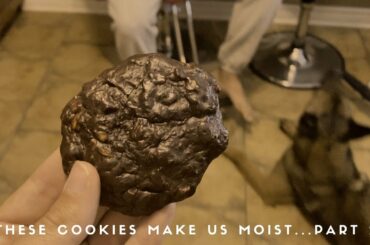 WE ARE MOIST...AGAIN... (Healthy Avocado Cookie Recipe)