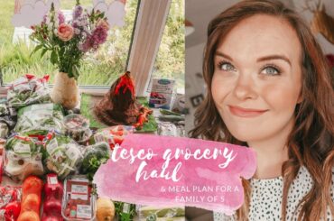 TESCO GROCERY HAUL & MEAL PLAN - FAMILY MEAL IDEAS - JUNE 2020