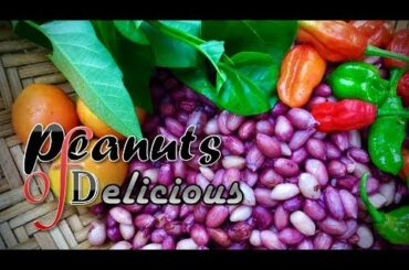 Red Habanero Pepper Mixed Peanuts Curry Healthy Vegan Recipe / Village TV