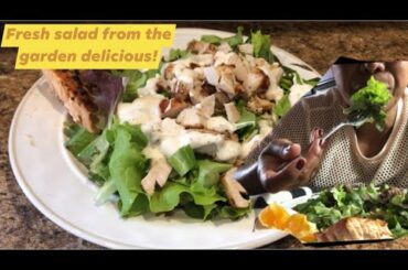 MAKING GRILLED CHICKEN CAESAR SALAD HEALTHY FOOD.FRESH FROM THE GARDEN,HOME COOKING